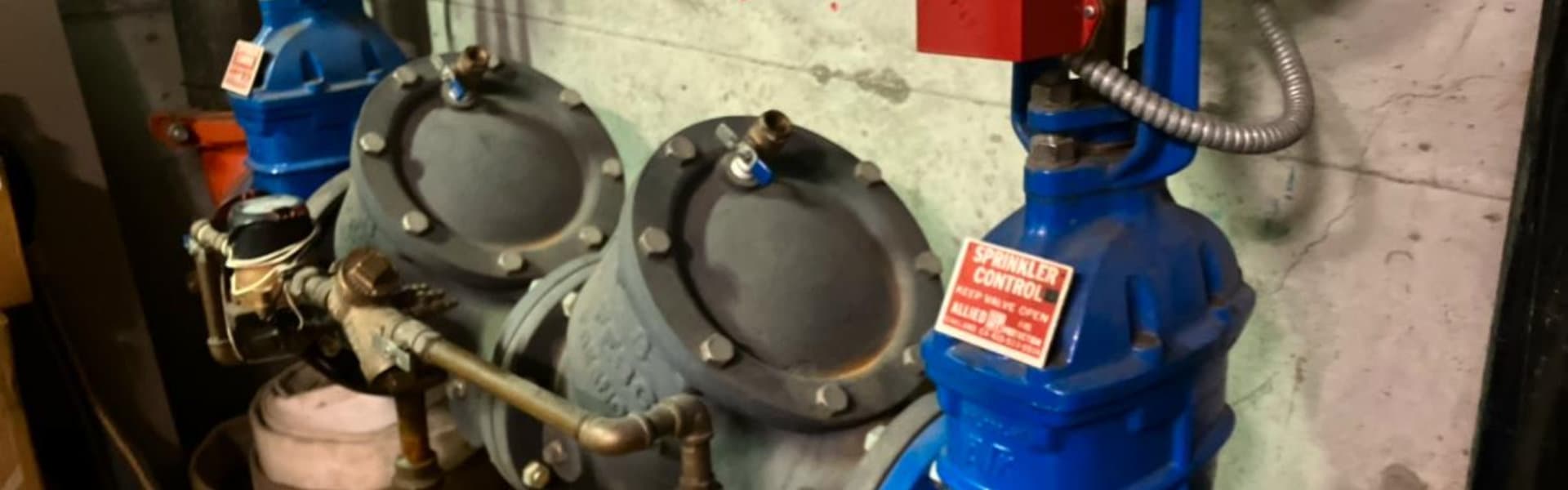 Backflow Testing
